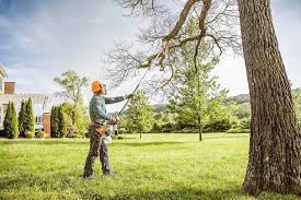 Best Tree Trimming and Pruning  in Vandalia, OH